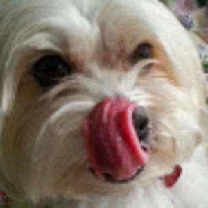 Meet your Posher, Lindsay